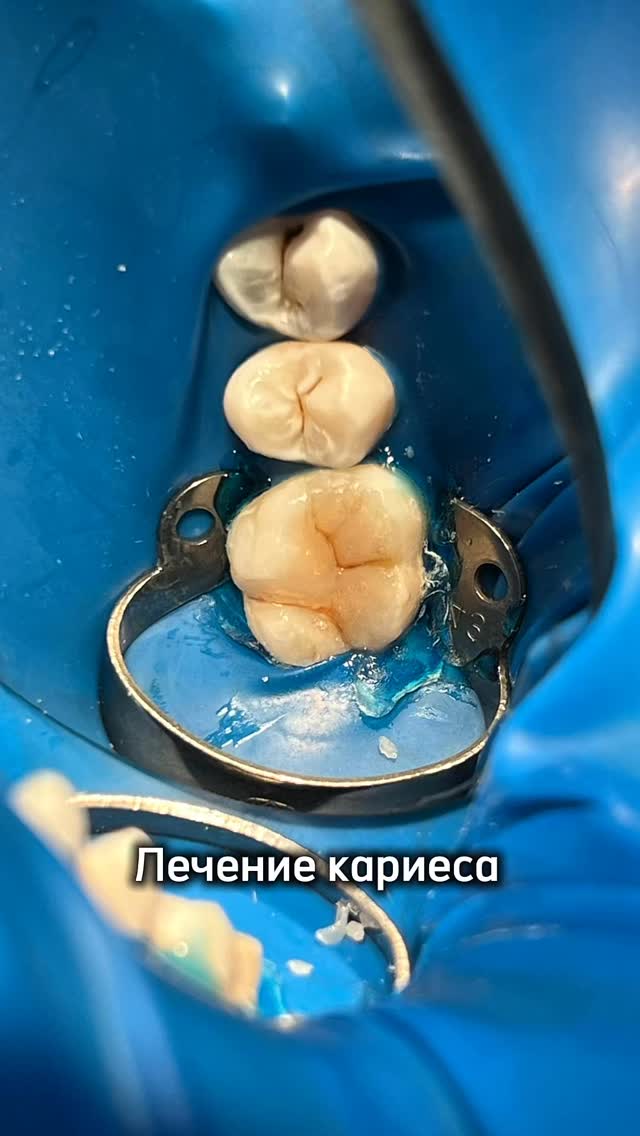 Команда клиники