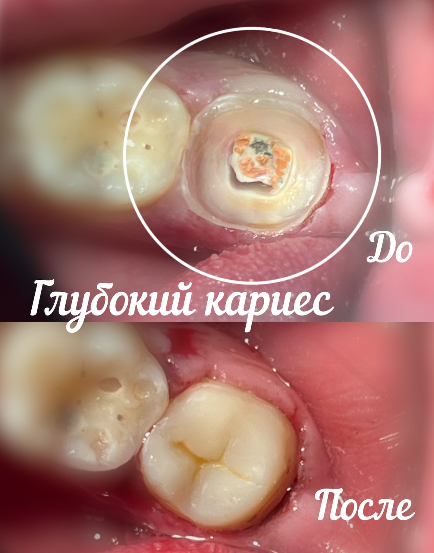 Жизнь клиники